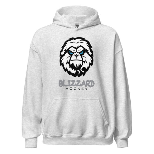 Blizzard Gildan Unisex Hoodie - Front Only